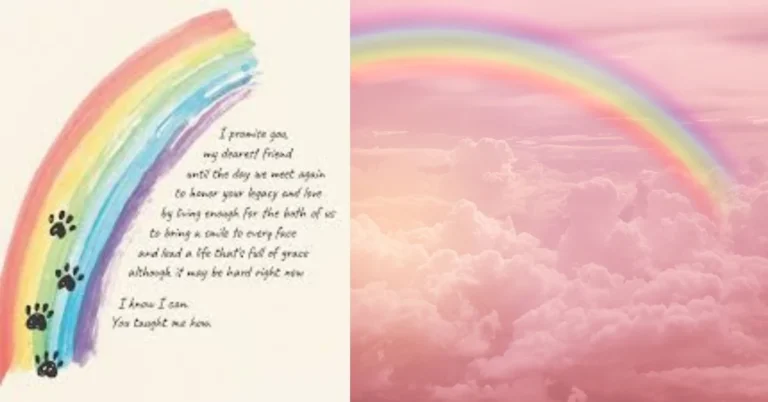 Rainbow Bridge Poem